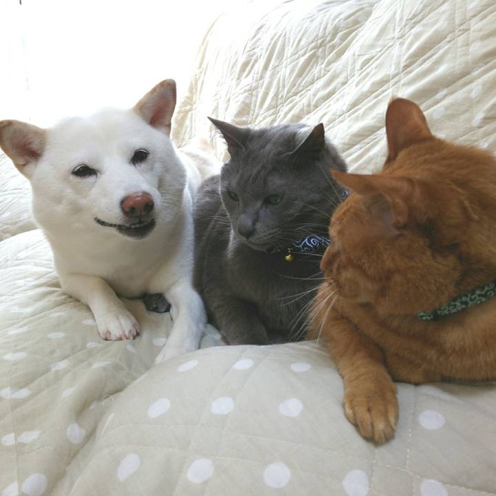 71926ac2 a36d 4f18 b7c0 f531384bb5b1 1556418525521