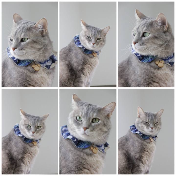 719271e6 012f 4754 95fa 225d8495f588 1683865983186