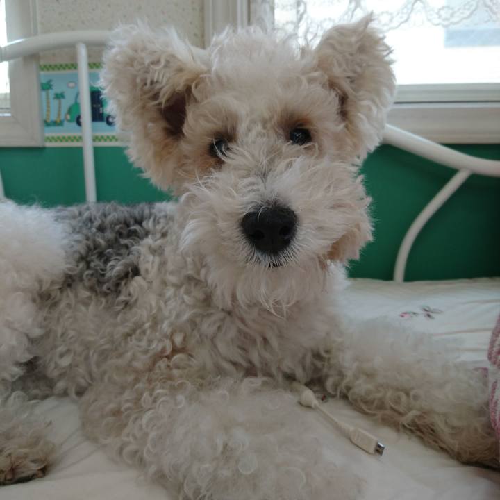 7192b4be c757 4675 9e16 dc33f9d1a4ad 1522810785111