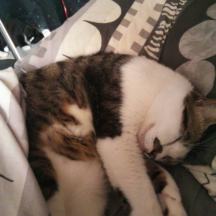 7192dd9c c1e3 4447 97e8 30e387a3a889 1644641441576