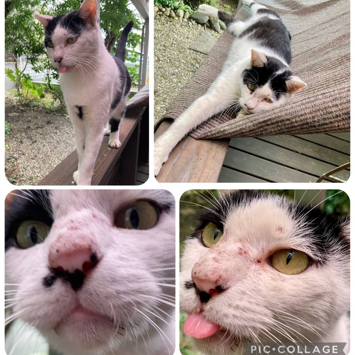 7192e839 2de7 40d4 bc93 605e2cf3f660 1760956706288