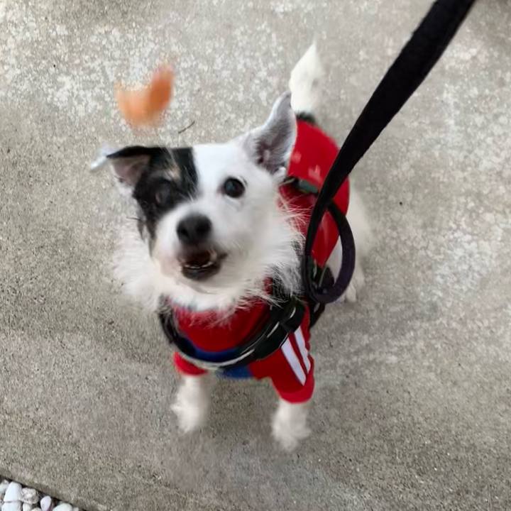 7192f1ab a12f 47d1 838e 3debcc5c3d01 1733125088851