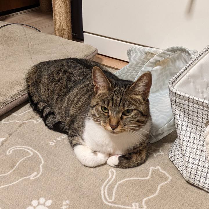 7192fcb2 3669 4f8c bcb5 e1eade2dc15c 1708081669787