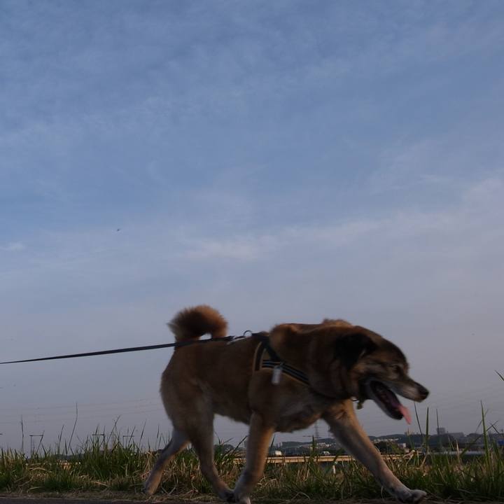 71930927 2013 41d3 8939 5e137360d07f 1585565737959