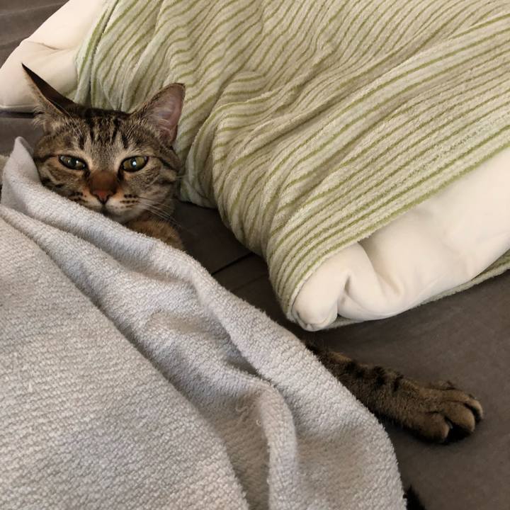 71933d6f 252a 428b a995 5a17830ba28e 1523838248212