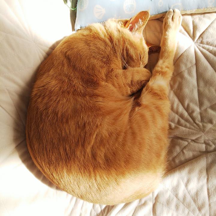 71939728 c466 4dcb 8cce 882c512665de 1604360951799