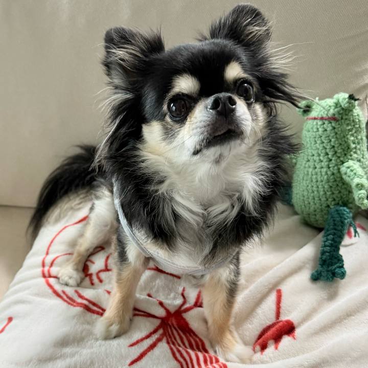 7193b610 ba1a 43d2 b1db 96c4da31d823 1727791522692