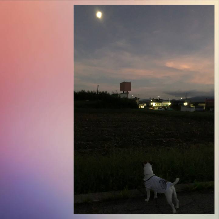 7193ba65 e2d3 4d23 bda7 08209646075d 1568026107777