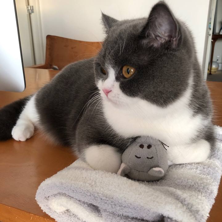 7193d697 7de2 4dd1 8a7c d44190a649f7 1545800311679