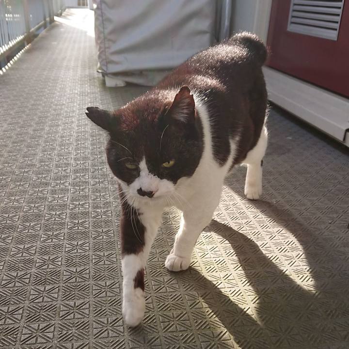 7193ea56 c0ae 43a5 90fc 5646bf777986 1650856143085