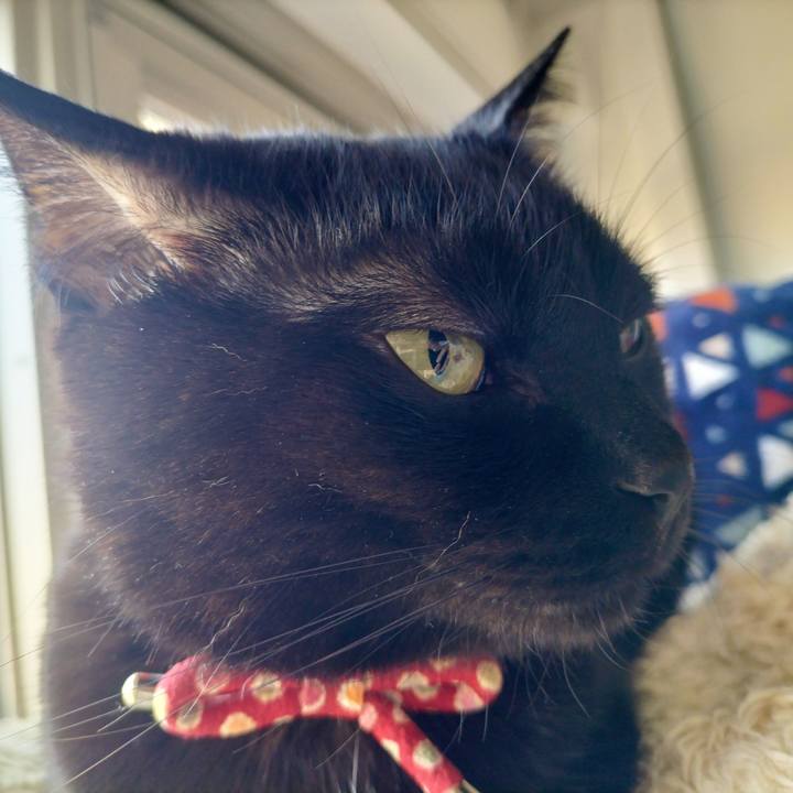 719403aa e6a4 4134 9bab 4c857899ff02 1684534986760