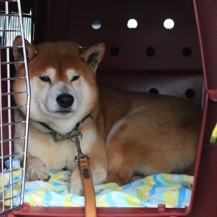 71941a85 b0e6 4dab babb 21b855bab1f5 1637797013486