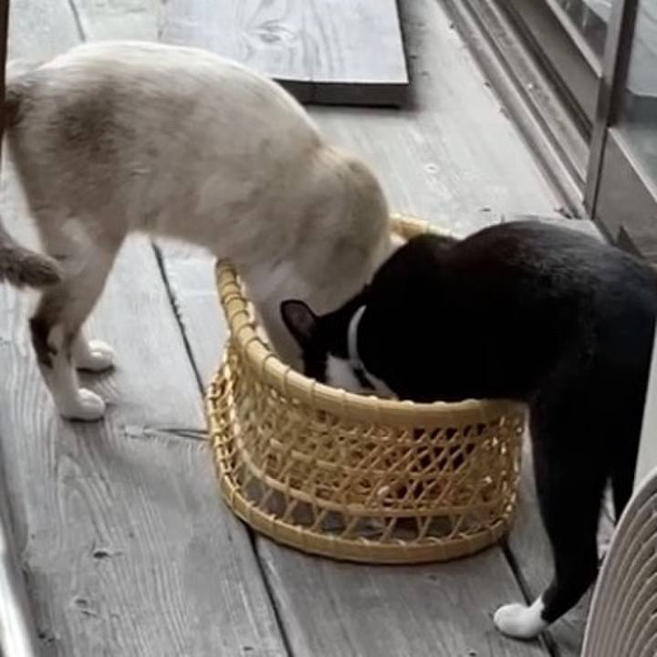 719429b7 b227 4572 9400 26be7eae1c74 1733343426460