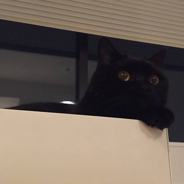 7194421d ecf8 4a50 86f7 b587273447d8 1591013519372