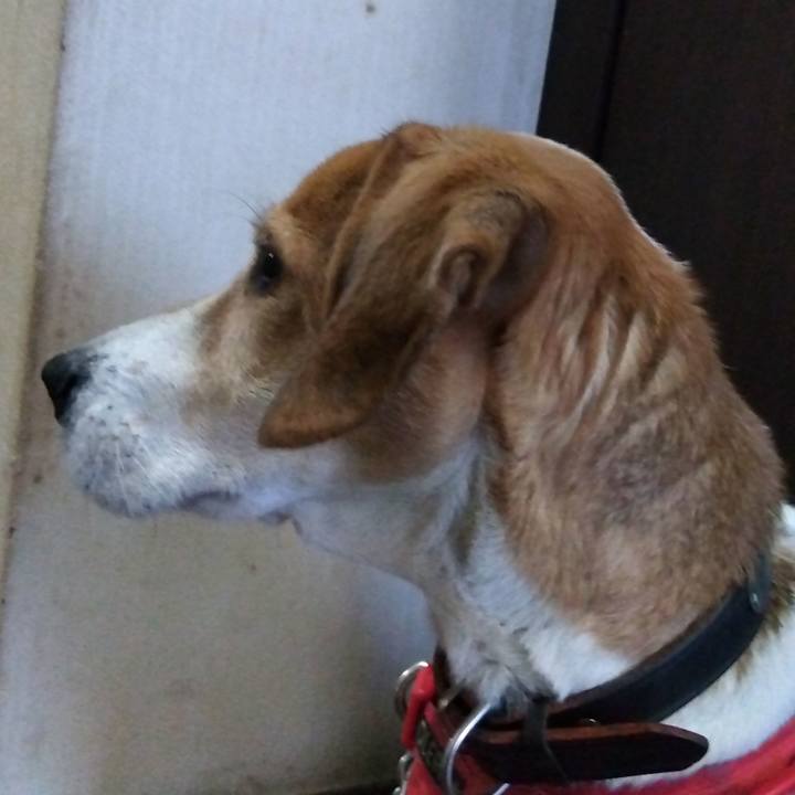 71945932 3374 4feb 8298 e90a6cf26f7a 1703144980528