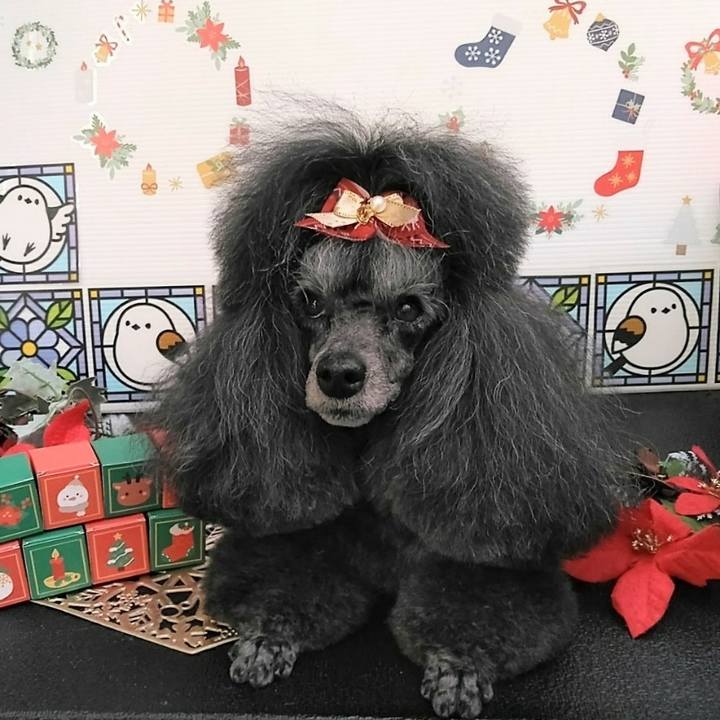 719468a8 1802 40ec b6ec 8057eaed2a43 1733294630144