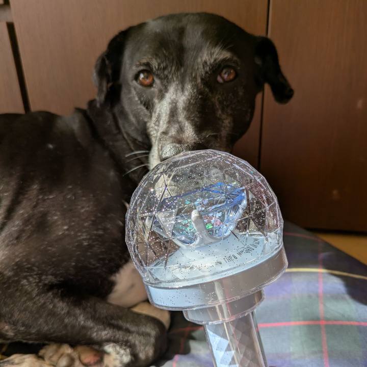 719469ab bd77 4e89 981f e5ebb99bfa5b 1764820303917