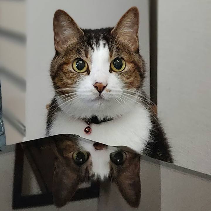 71948d41 8a99 4dd6 adca 0403a4e41f0f 1665100965906