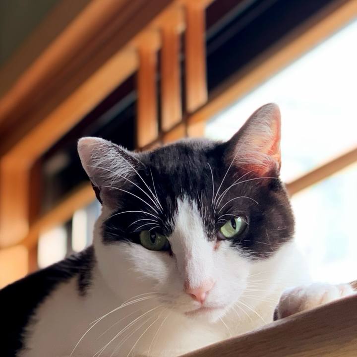 7194970a 60bb 4570 93e2 abf1c94fd029 1596503580694