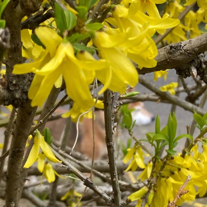 7194b9af 4d1a 4ab0 a4e7 2ada7eb480fb 1648259673488