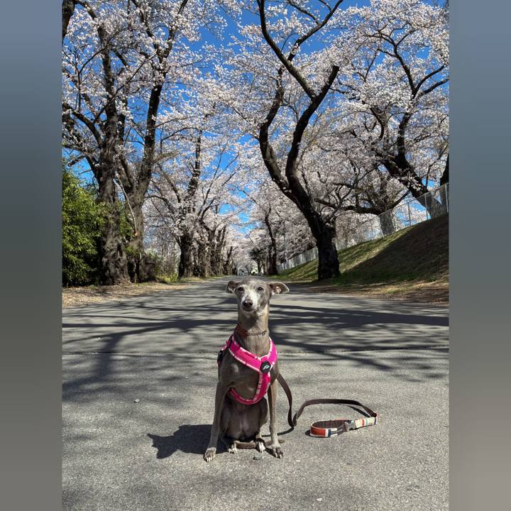 719507ab 3816 4250 847e db71e6739e1b 1777027710886