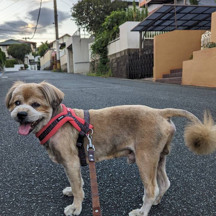 719515e3 440b 4ed9 8082 3ebc036b58c0 1691057933016