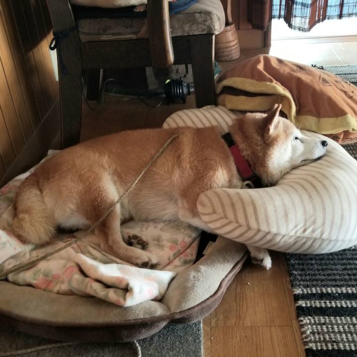 7195396f ab0b 41e9 99d3 fa018431a223 1724460134101