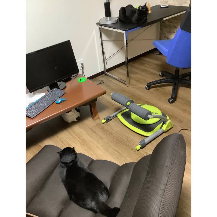 71955d6e 9aa5 441e 8588 33e6cb21d782 1559482967642