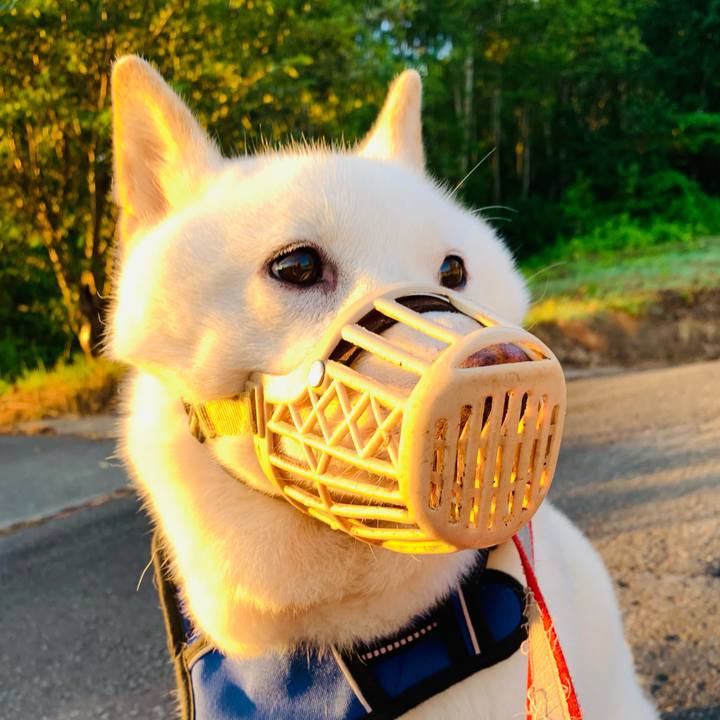 71956812 9544 4325 bf85 ff071440188f 1627589569819