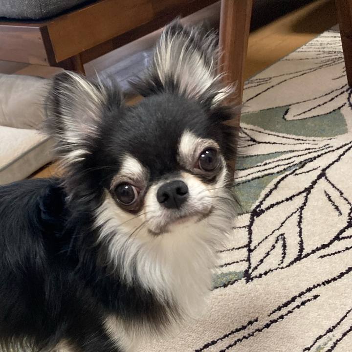 71957e5a 50b4 41a5 8b69 59352c467fed 1625375114071