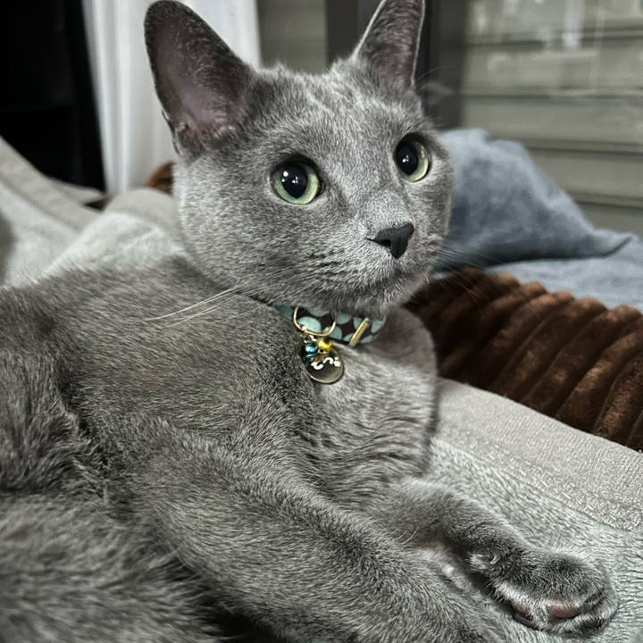 7195a894 e143 4c59 aa37 3d53a2ab48bd 1707195859891