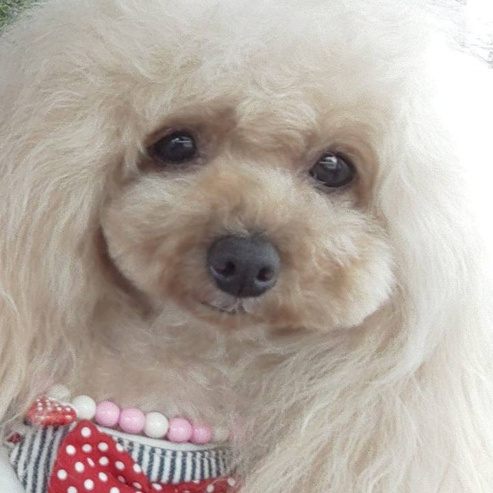 7195af0a caa9 4899 a696 d7f48add0b39 1589890221858