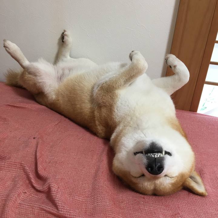 7195ee95 afa8 4e04 8044 97b5bd3582e4 1600149156406