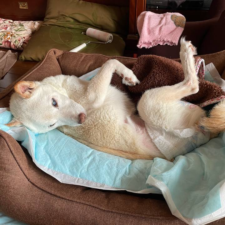 7195eeb6 e856 4788 87ac b4a06a852312 1668659419432