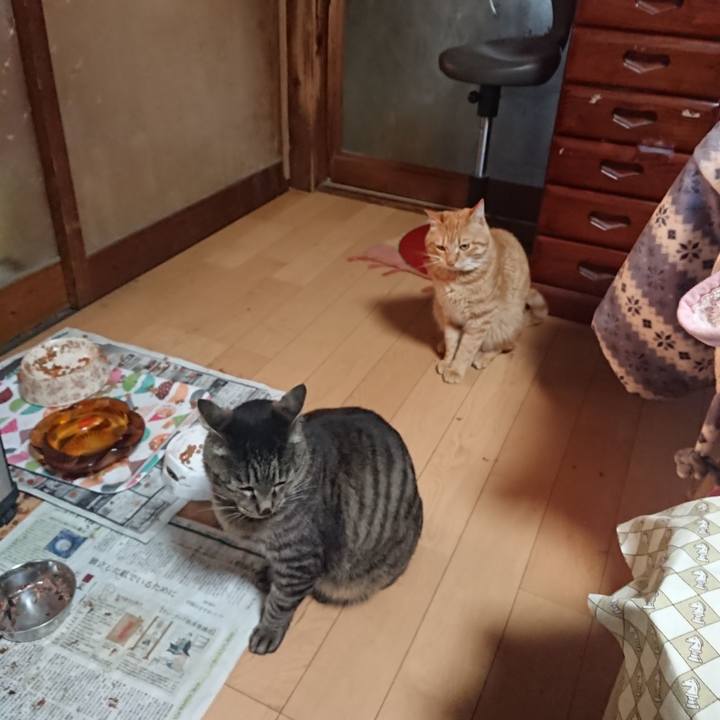 7195fad2 dd78 4fbc 8ab9 4a77b779a9ba 1652908093682