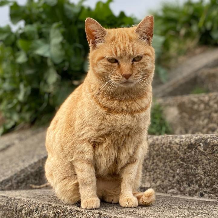 7195fcbf 7254 4d59 81ef 440c3b675b7f 1650601549683