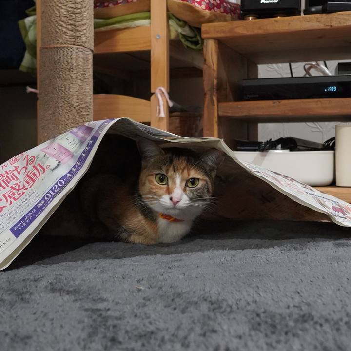 71962b86 5680 497c ba2d 4063c6d3eb49 1613292475530