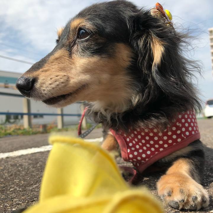 7196687e ba93 4c6a 8e4c 9ded9532c4b6 1567728604008