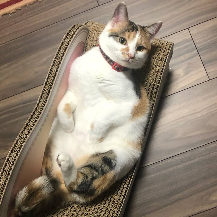 719673b5 093d 4d00 9874 8ba421b2abb0 1576499909322