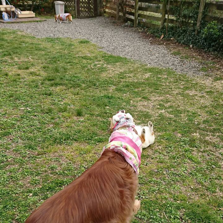 7196dc69 124f 4ef1 b935 0328b6cbc2d9 1555495651143