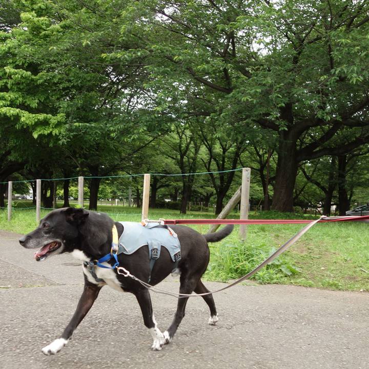 7196fb60 f9b5 4574 b9c7 f8cb7324d00e 1748312457409