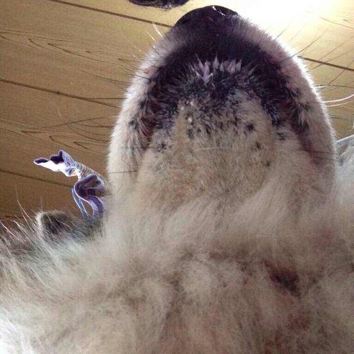 7197026f 6844 4ec9 8728 9d5cab11b9b6 1550444343369