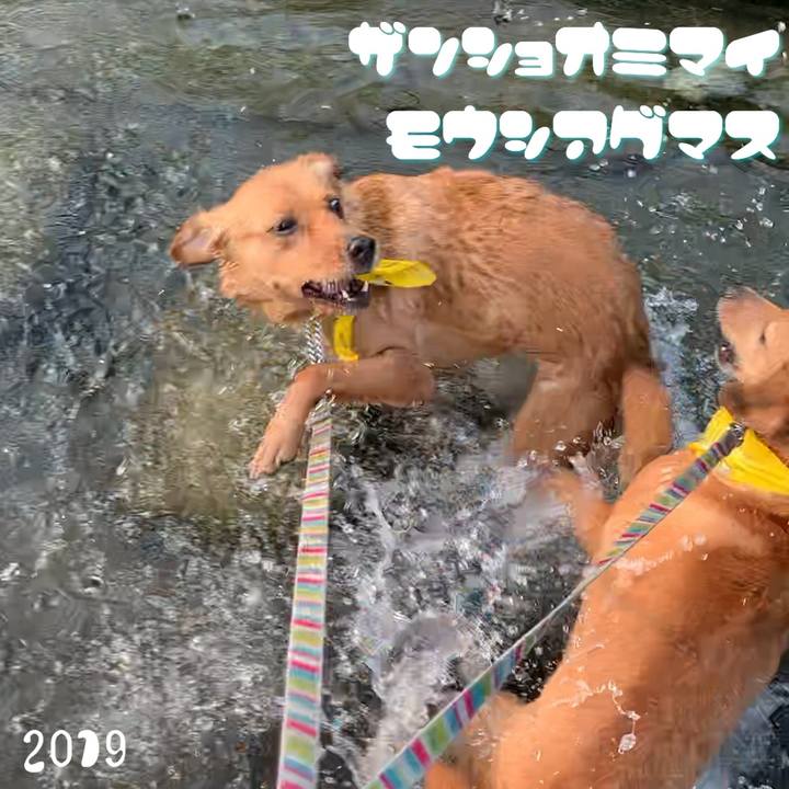 71973d80 1e44 4153 b89b 89d4456f0da0 1564717456565