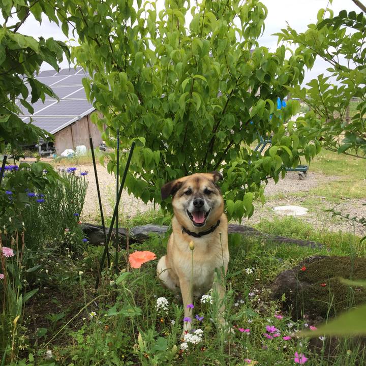 719742e6 b700 41e2 bf88 7007ab65aca0 1527561762244