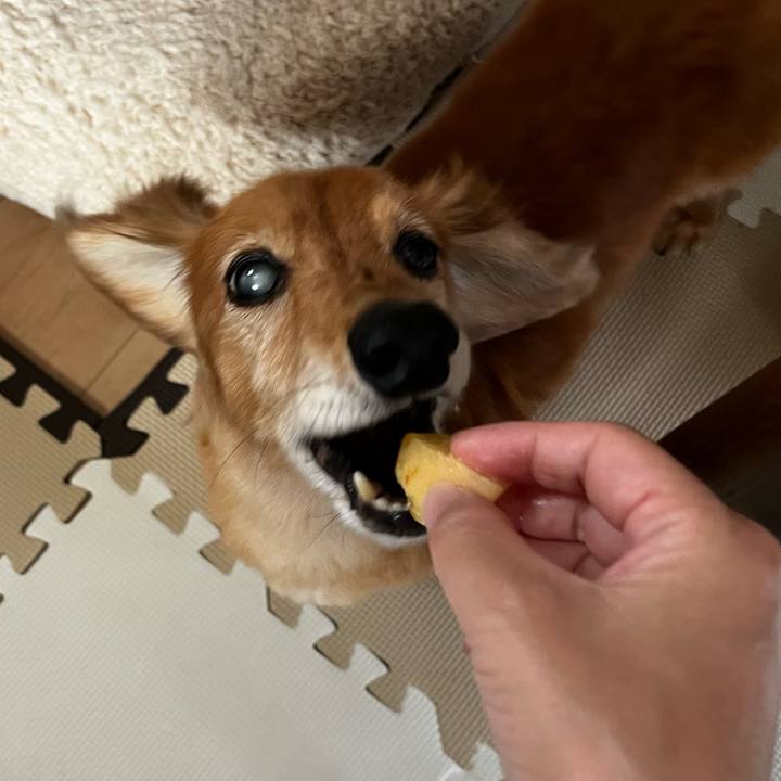 71975045 ce06 456f 9ff5 8456df850201 1660827436595