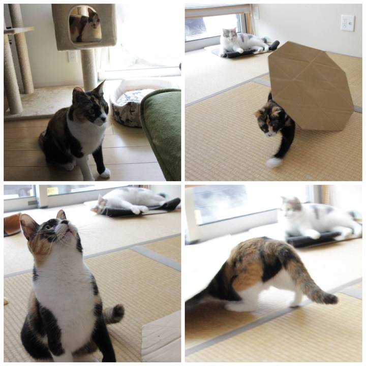 719779ae 7de5 46a8 8c4c 9d9bf205a00e 1627125346281