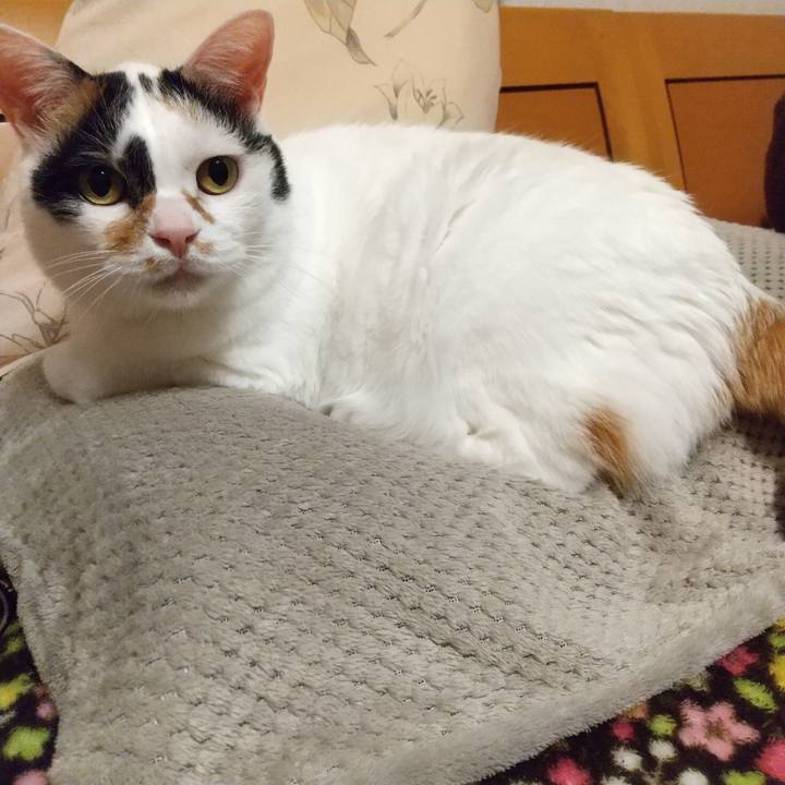 71978b02 3f06 42e5 b437 51ca0b810d85 1701871516693