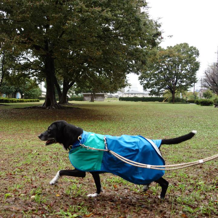 7197afef 9227 4c47 ac5b 7e2187dee7ad 1730248178917