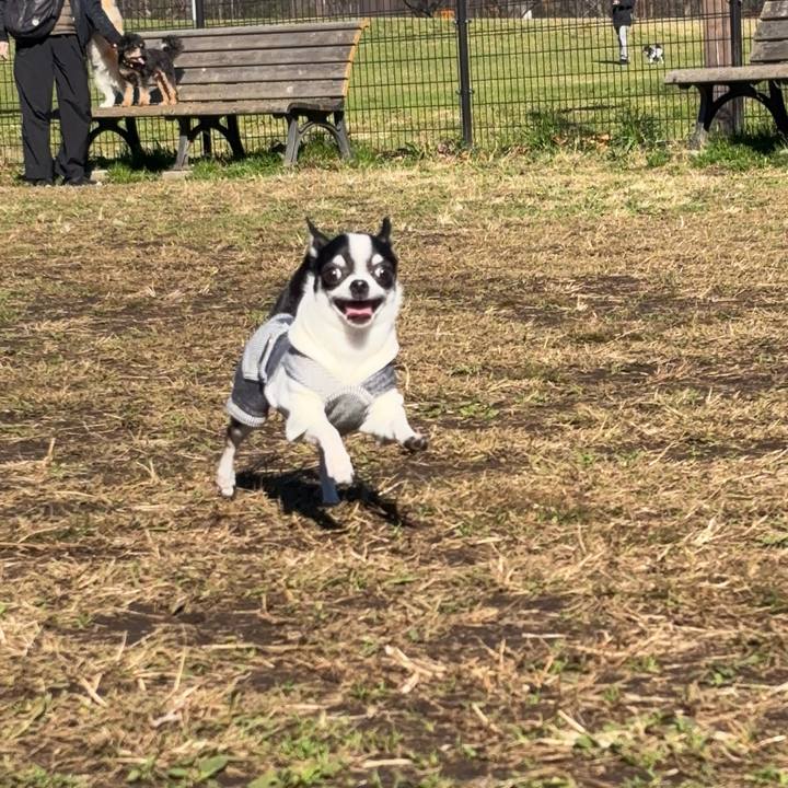 7197fceb 9eee 4fb9 8b69 b60cf2d6ee21 1766727172851