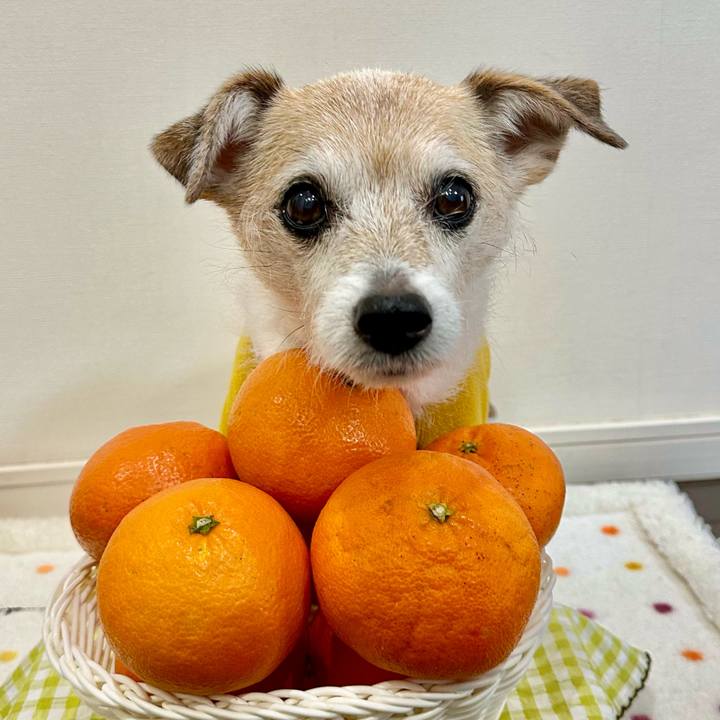 719817ef 70cf 4004 a700 bed15679084c 1708311605757